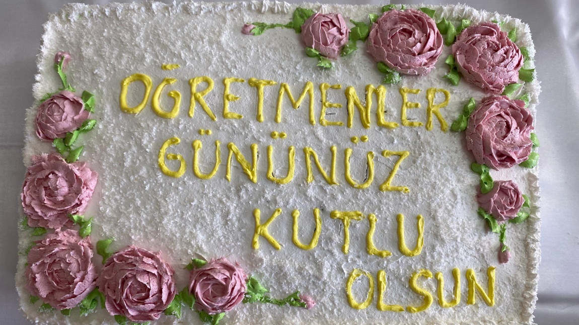 25-11-2024